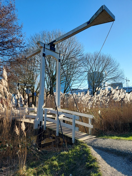 Utrecht - Hootzaagmolen - 2024